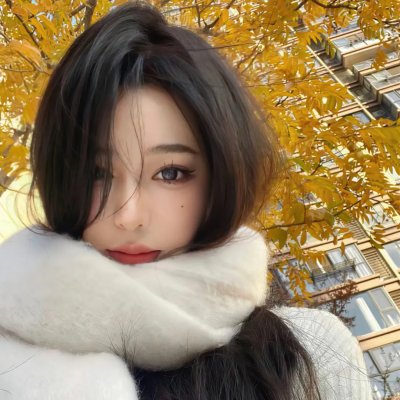 与鲨同泳